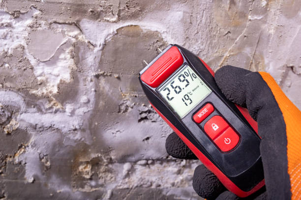 Best Mold Cleaning Services  in Nappanee, IN