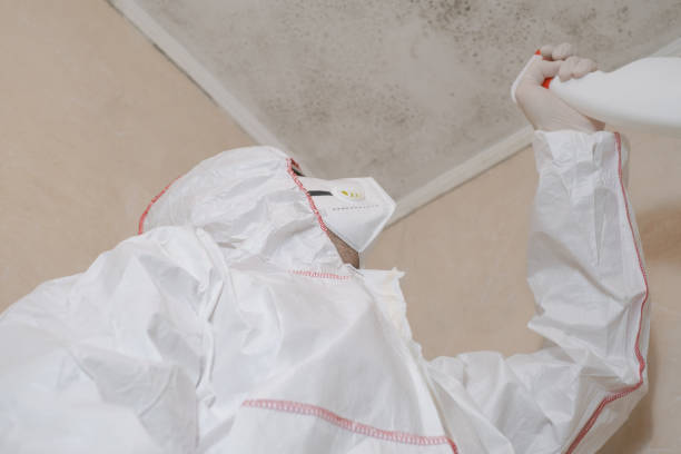 Best Emergency Mold Removal  in Nappanee, IN