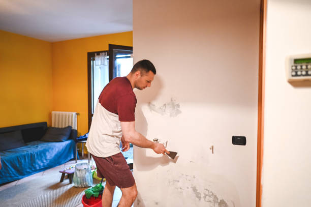 Nappanee, IN Mold Removal Company